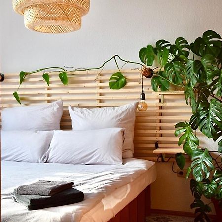 Greenbnbs: Cozy Urban Jungle In The City Centre Essen Eksteriør bilde