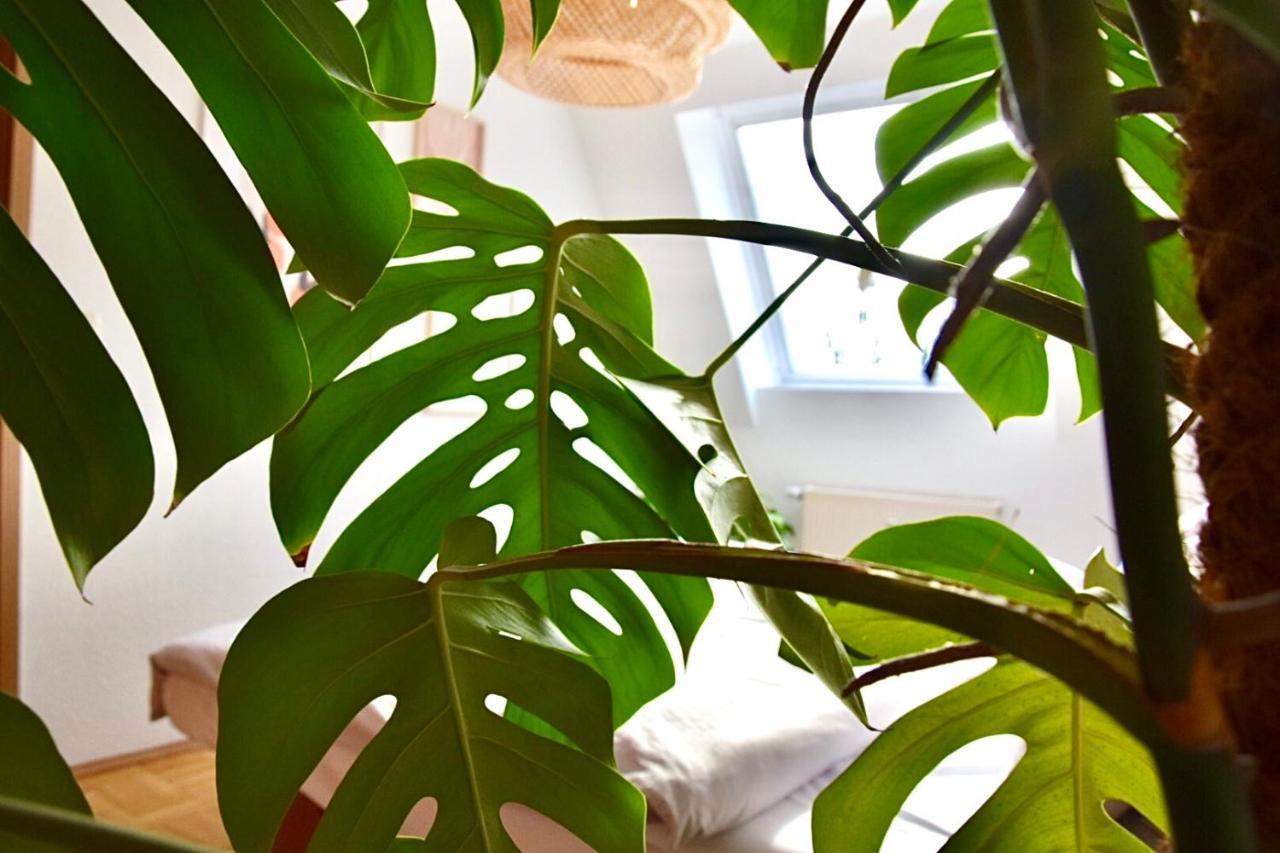 Greenbnbs: Cozy Urban Jungle In The City Centre Essen Eksteriør bilde