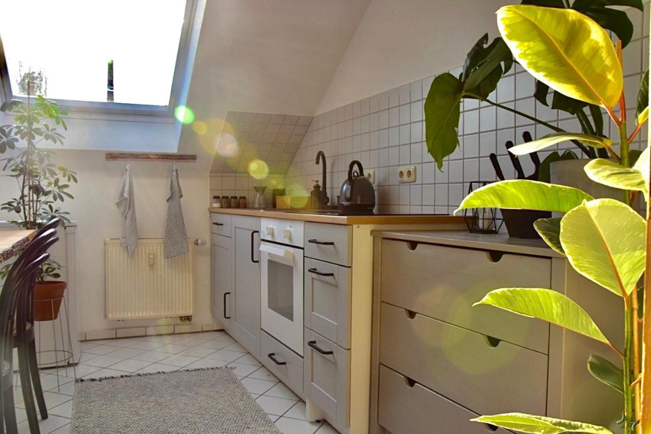 Greenbnbs: Cozy Urban Jungle In The City Centre Essen Eksteriør bilde