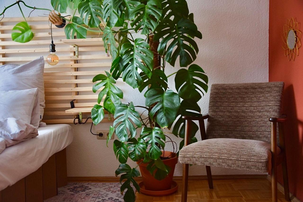 Greenbnbs: Cozy Urban Jungle In The City Centre Essen Eksteriør bilde