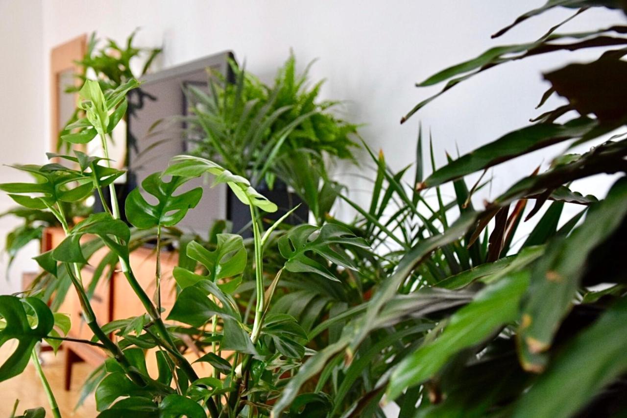 Greenbnbs: Cozy Urban Jungle In The City Centre Essen Eksteriør bilde