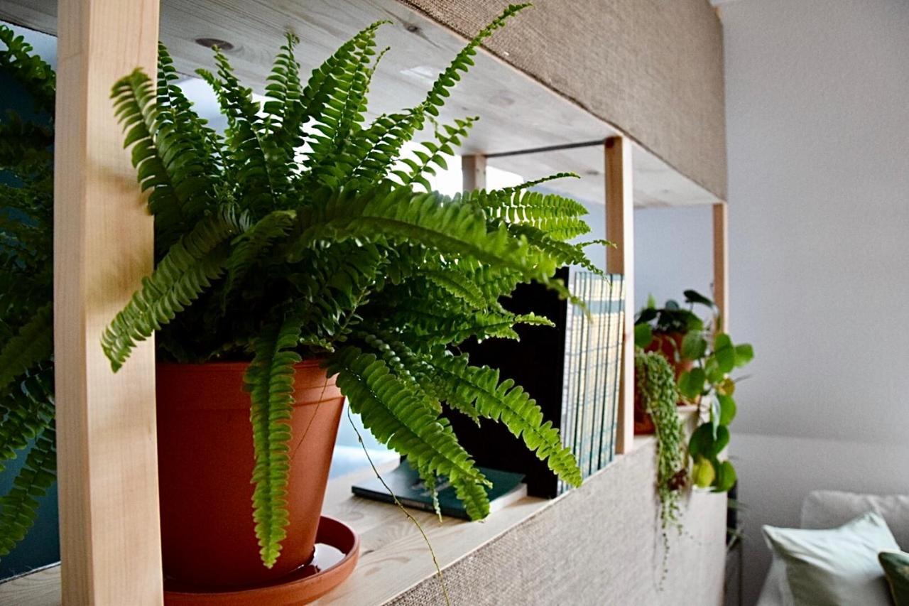 Greenbnbs: Cozy Urban Jungle In The City Centre Essen Eksteriør bilde